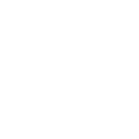 Opt